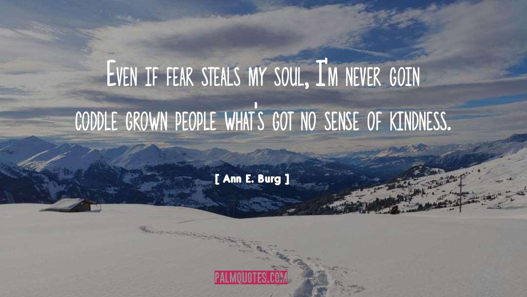 Ann E. Burg Quotes: Even if fear steals my