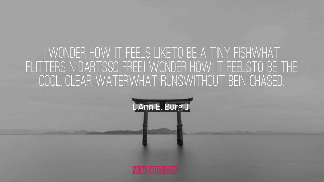 Ann E. Burg Quotes: I wonder how it feels