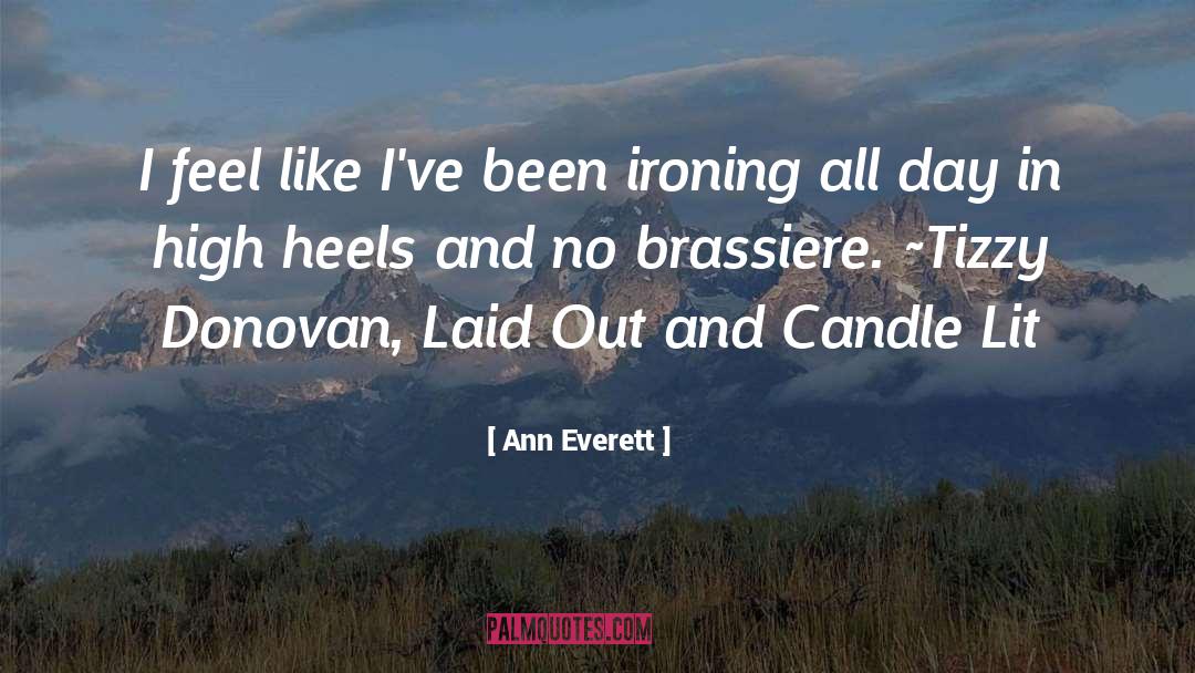 Ann Everett Quotes: I feel like I've been