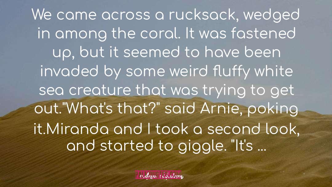 Ann Halam Quotes: We came across a rucksack,