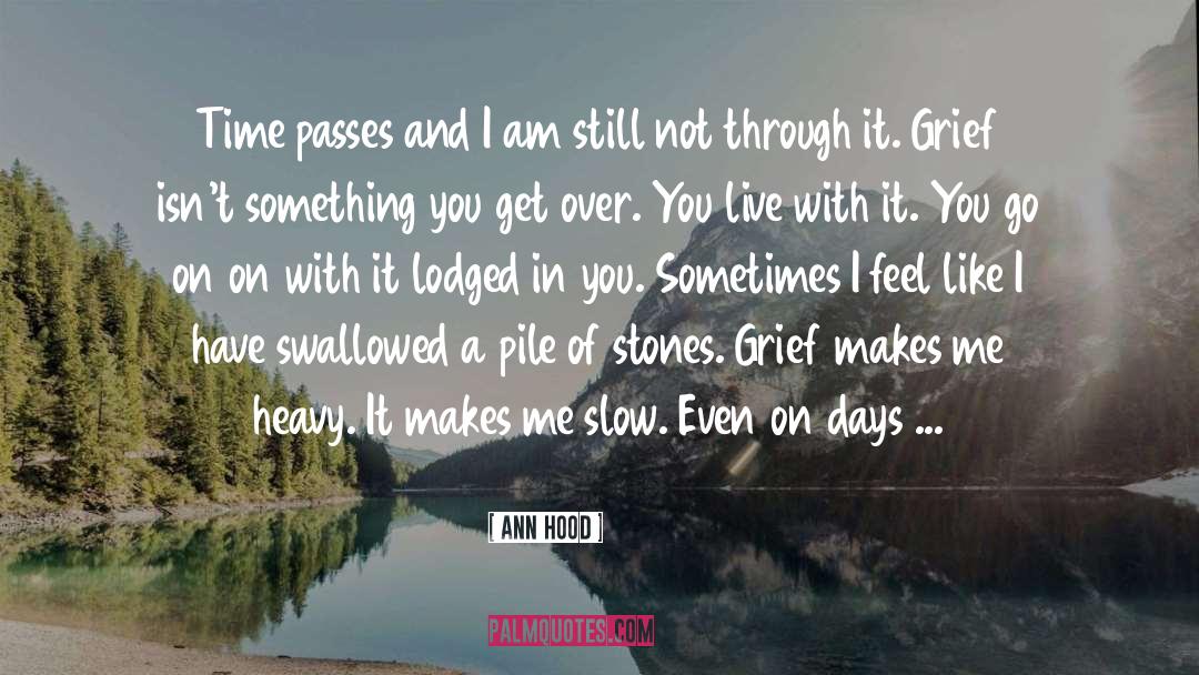 Ann Hood Quotes: Time passes and I am