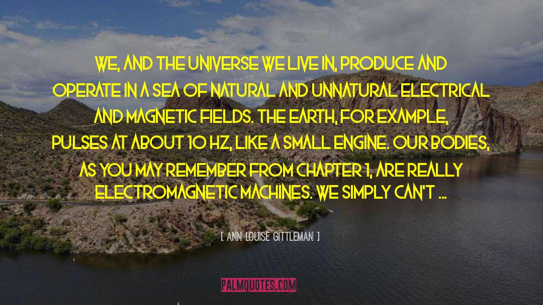 Ann Louise Gittleman Quotes: We, and the universe we