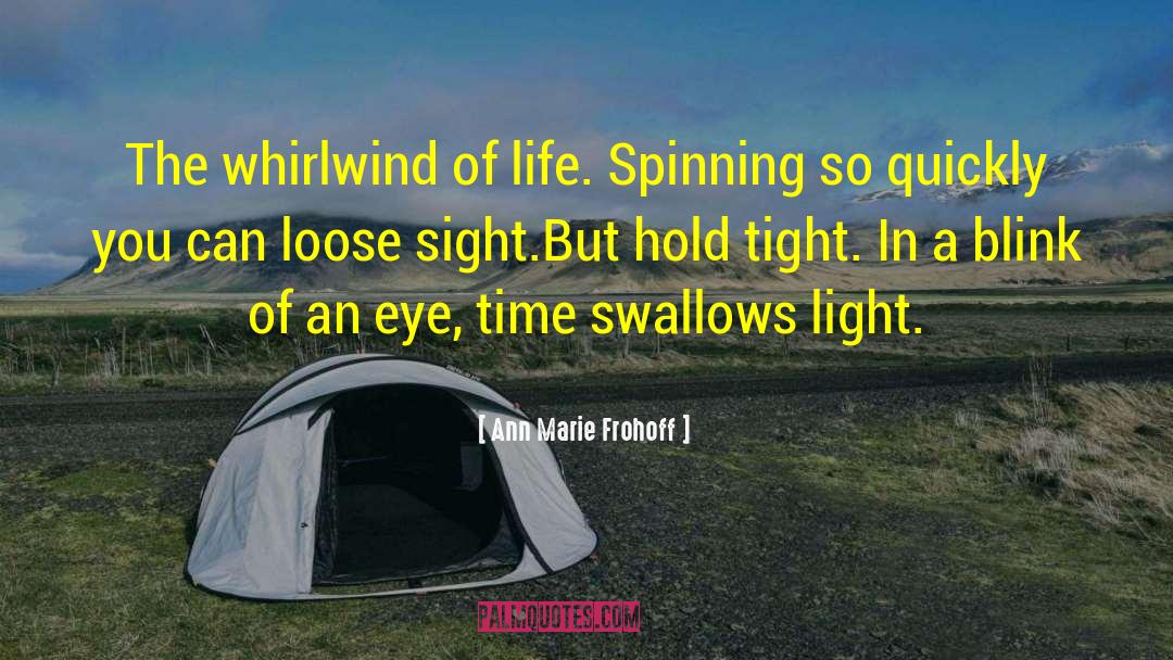 Ann Marie Frohoff Quotes: The whirlwind of life. <br