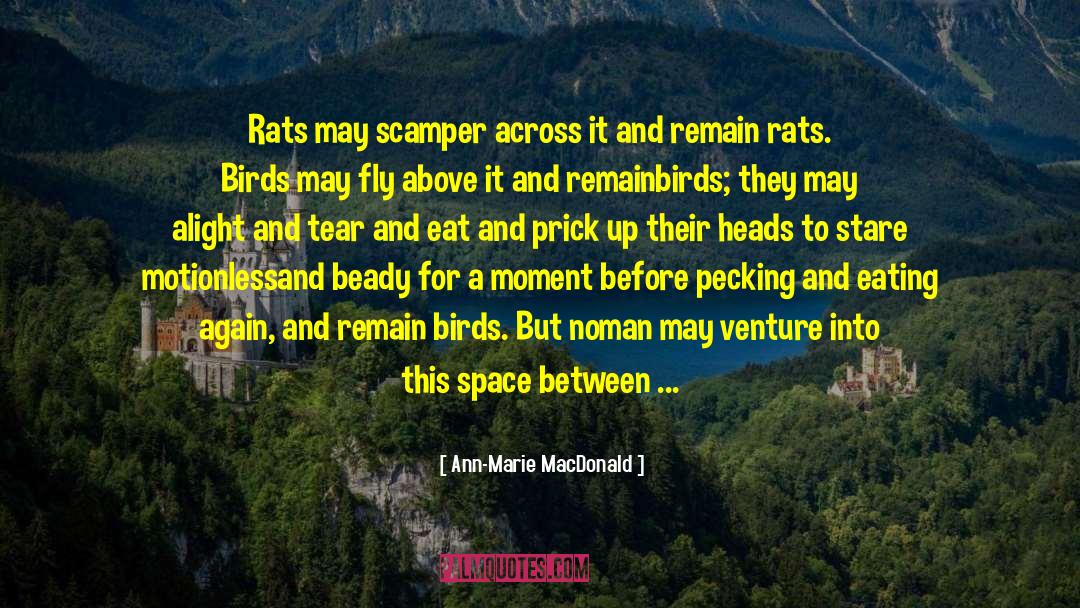 Ann-Marie MacDonald Quotes: Rats may scamper across it