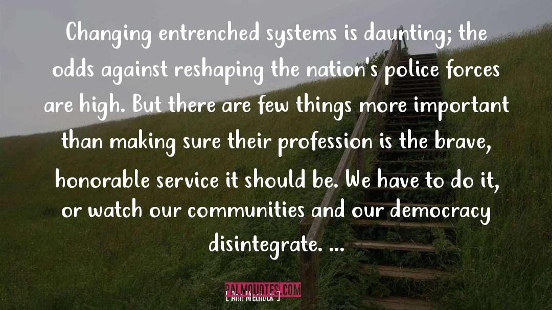 Ann Medlock Quotes: Changing entrenched systems is daunting;