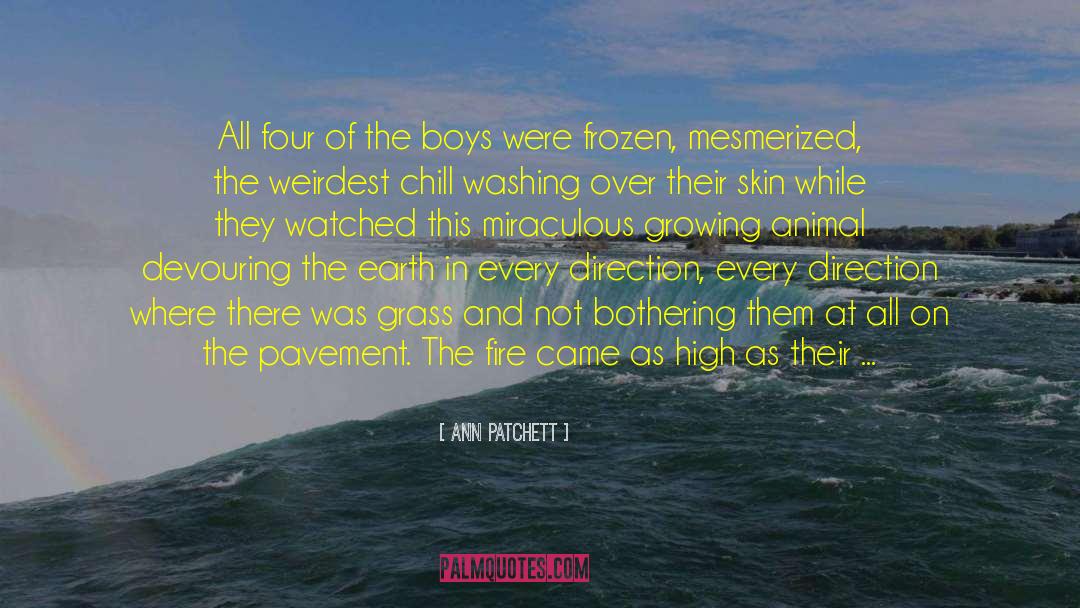 Ann Patchett Quotes: All four of the boys