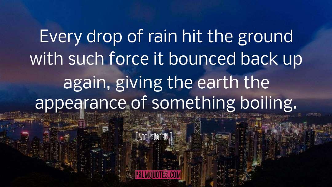 Ann Patchett Quotes: Every drop of rain hit