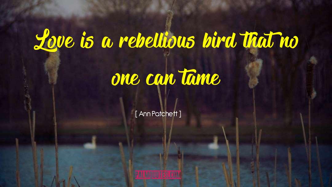 Ann Patchett Quotes: Love is a rebellious bird