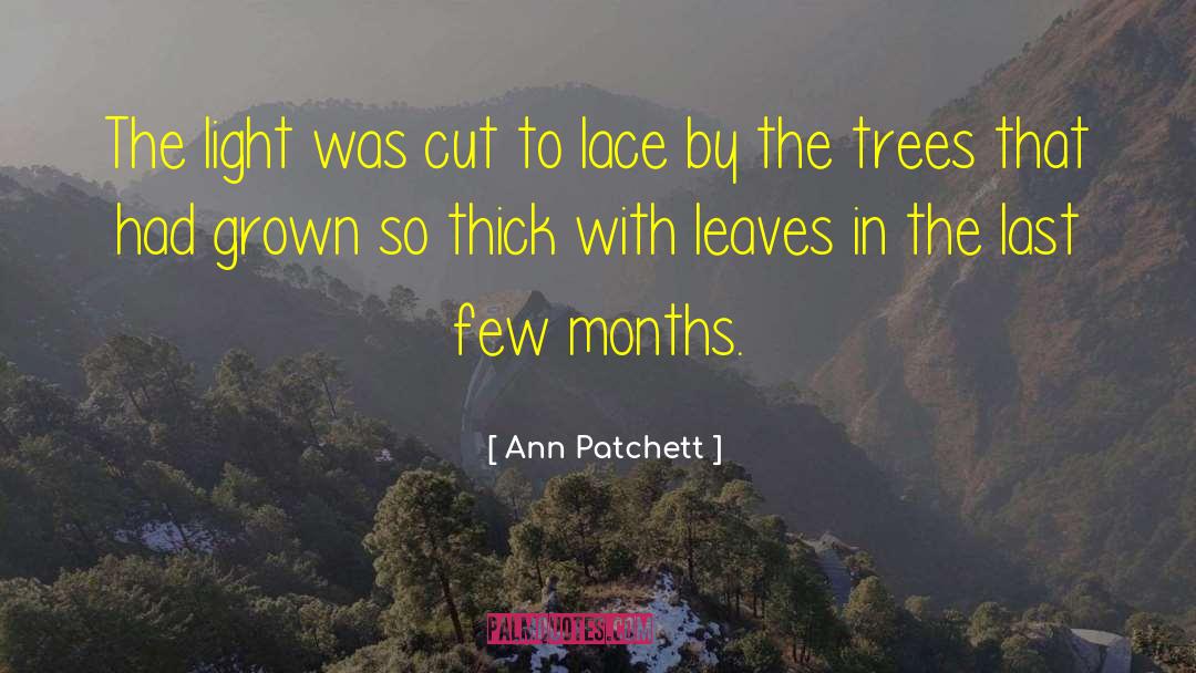 Ann Patchett Quotes: The light was cut to