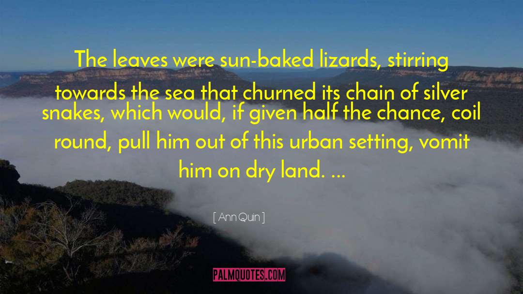 Ann Quin Quotes: The leaves were sun-baked lizards,