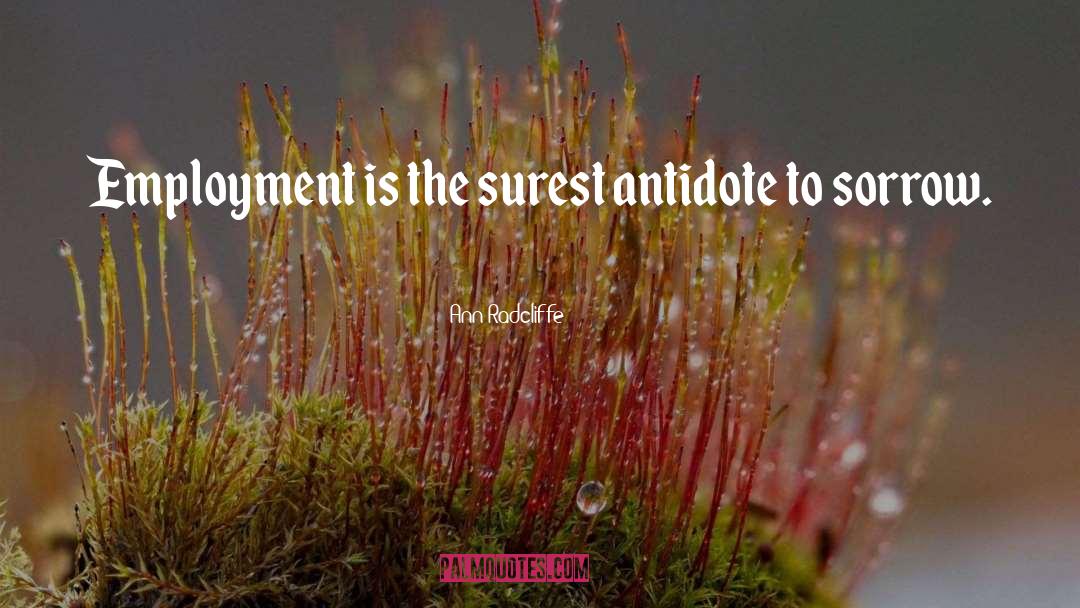 Ann Radcliffe Quotes: Employment is the surest antidote