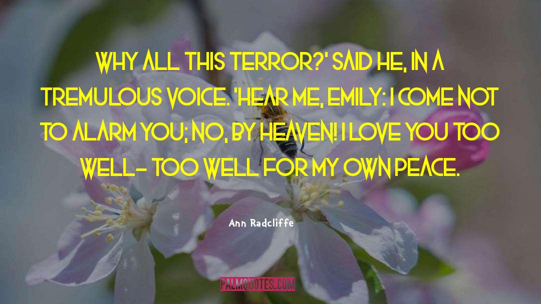 Ann Radcliffe Quotes: Why all this terror?' said