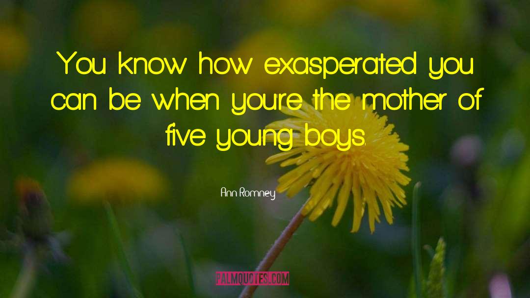 Ann Romney Quotes: You know how exasperated you