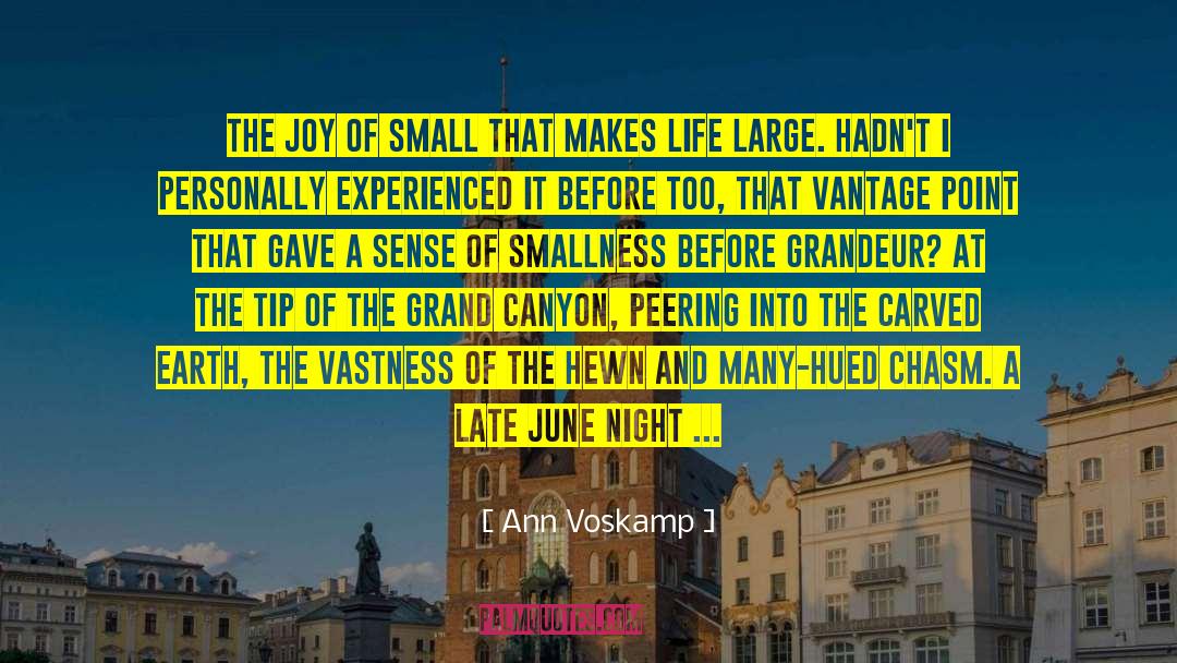 Ann Voskamp Quotes: The joy of small that