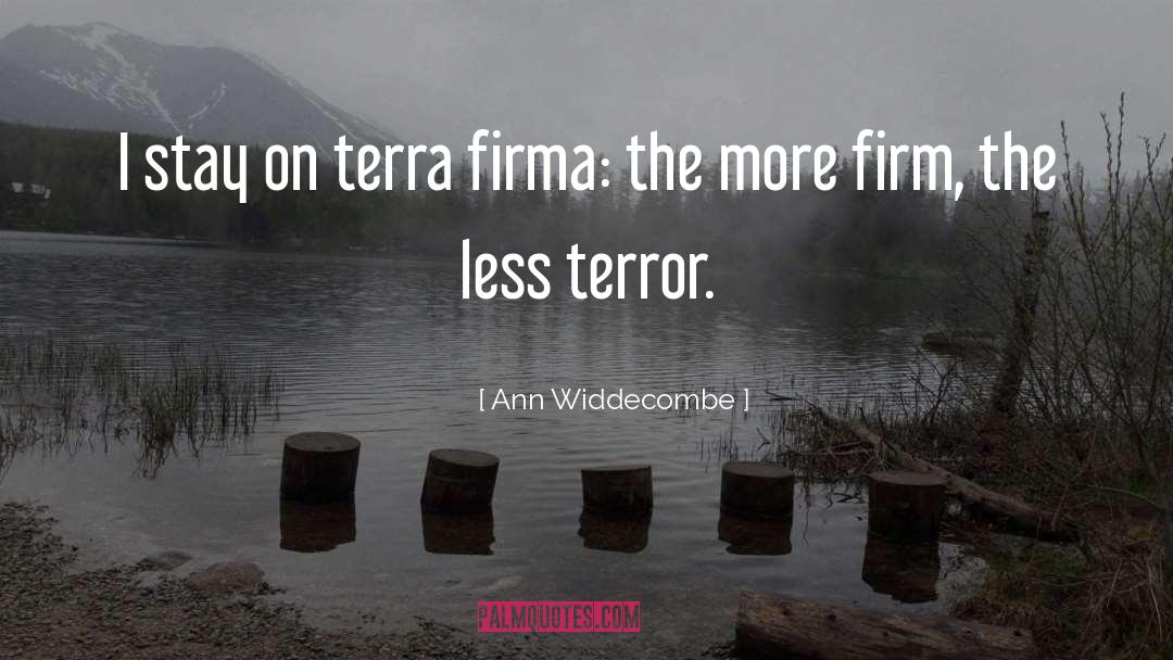 Ann Widdecombe Quotes: I stay on terra firma: