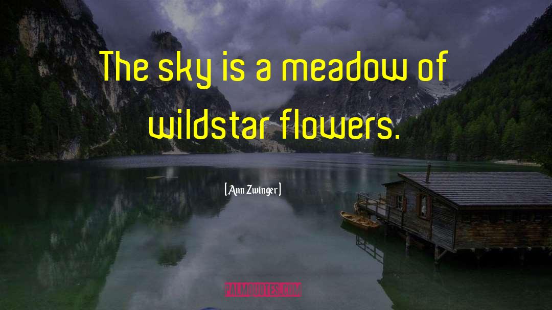Ann Zwinger Quotes: The sky is a meadow