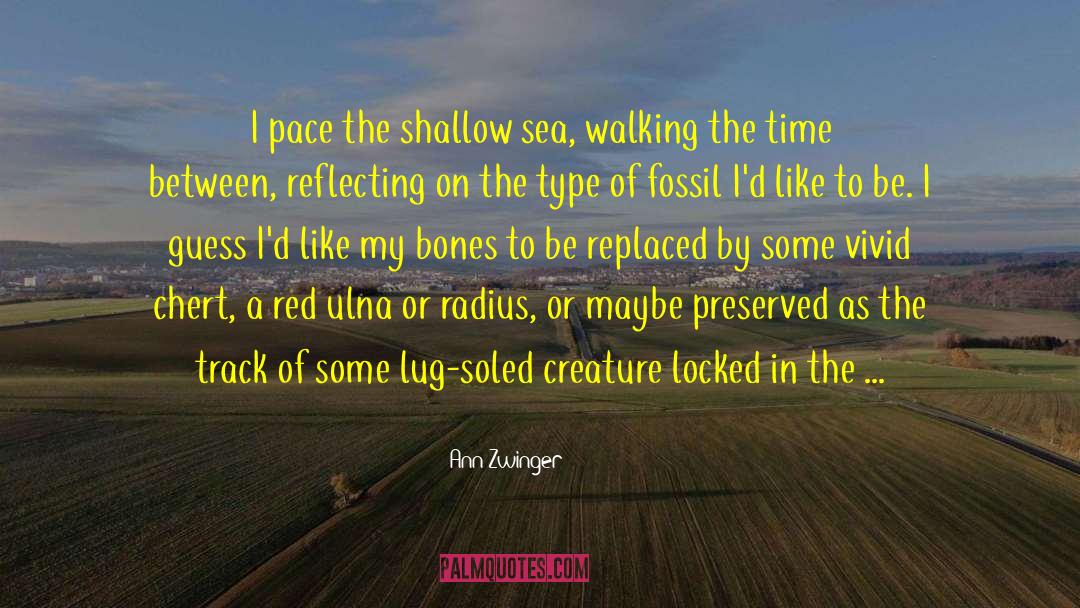 Ann Zwinger Quotes: I pace the shallow sea,