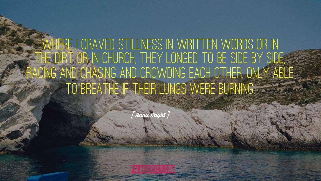 Anna Bright Quotes: Where I craved stillness in