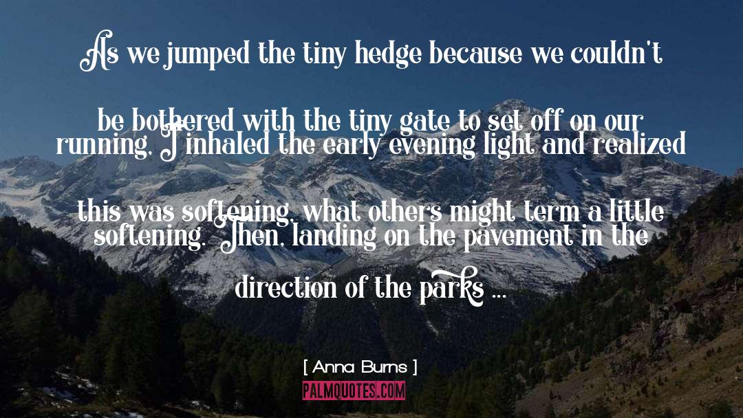 Anna Burns Quotes: As we jumped the tiny