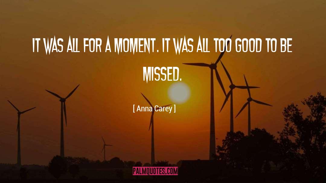 Anna Carey Quotes: It was all for a