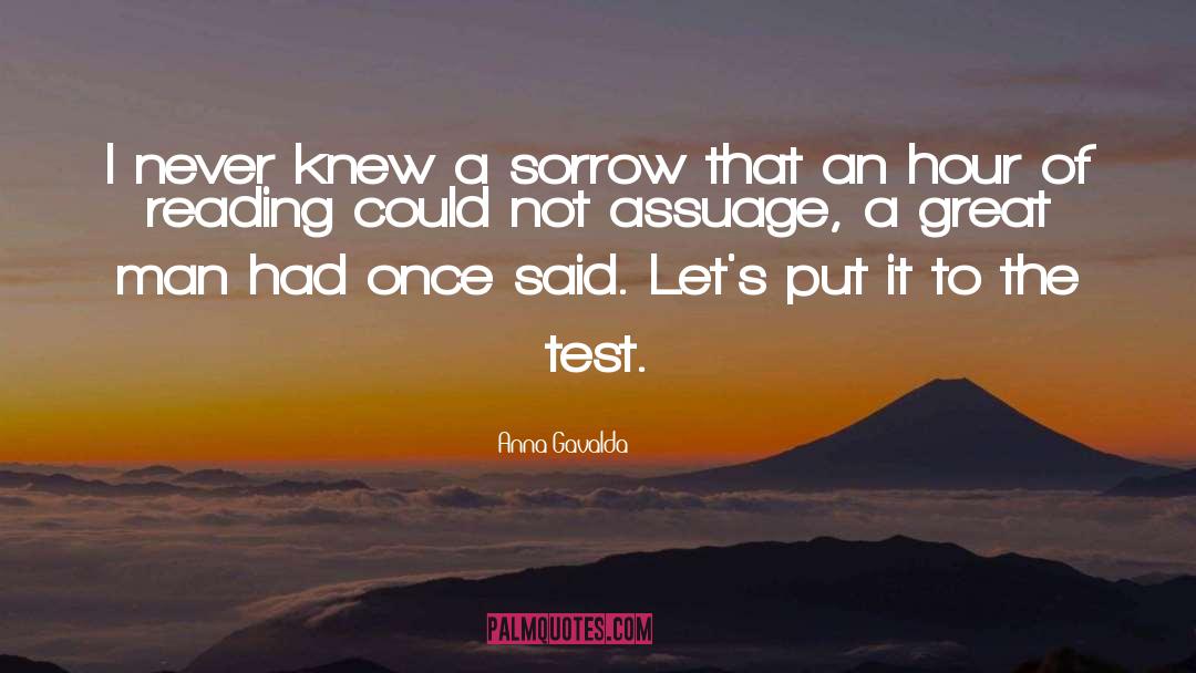 Anna Gavalda Quotes: I never knew a sorrow