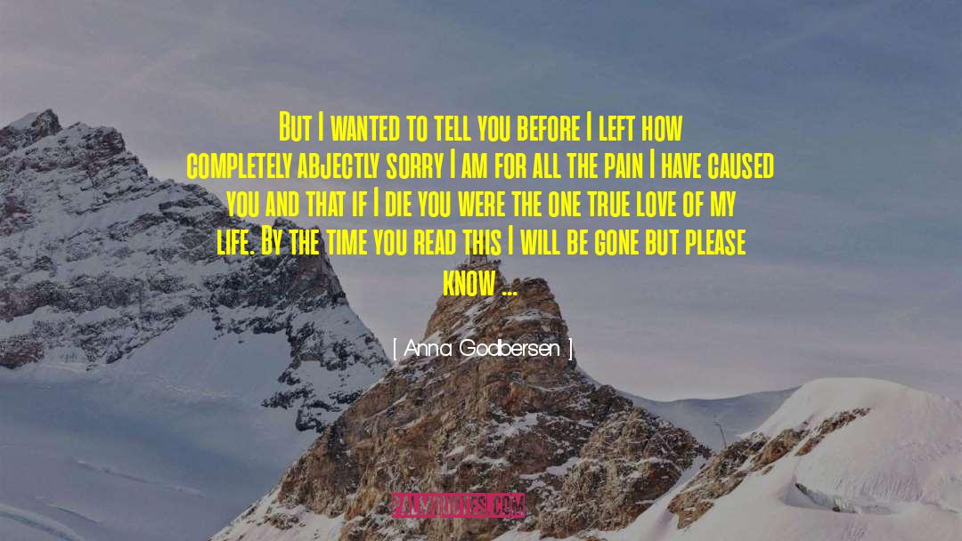 Anna Godbersen Quotes: But I wanted to tell