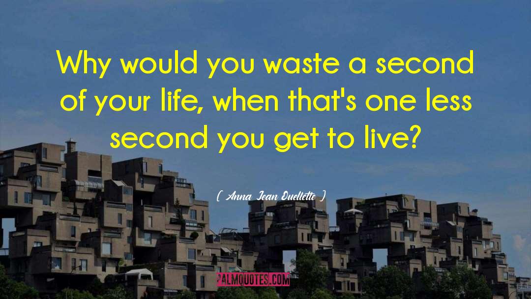 Anna Jean Ouellette Quotes: Why would you waste a