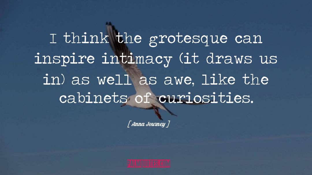 Anna Journey Quotes: I think the grotesque can