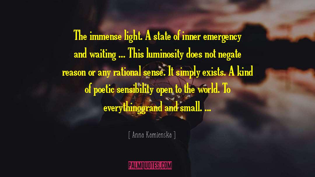 Anna Kamienska Quotes: The immense light. A state