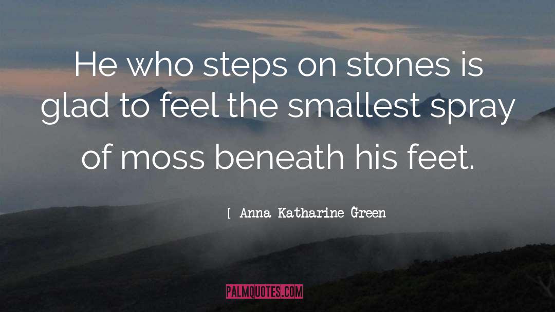 Anna Katharine Green Quotes: He who steps on stones