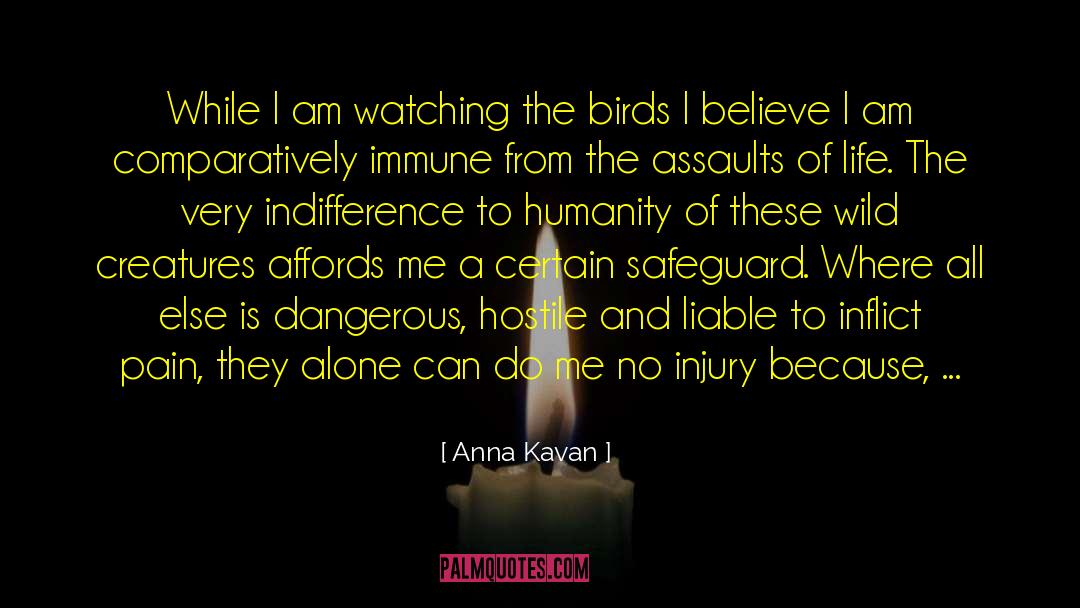 Anna Kavan Quotes: While I am watching the