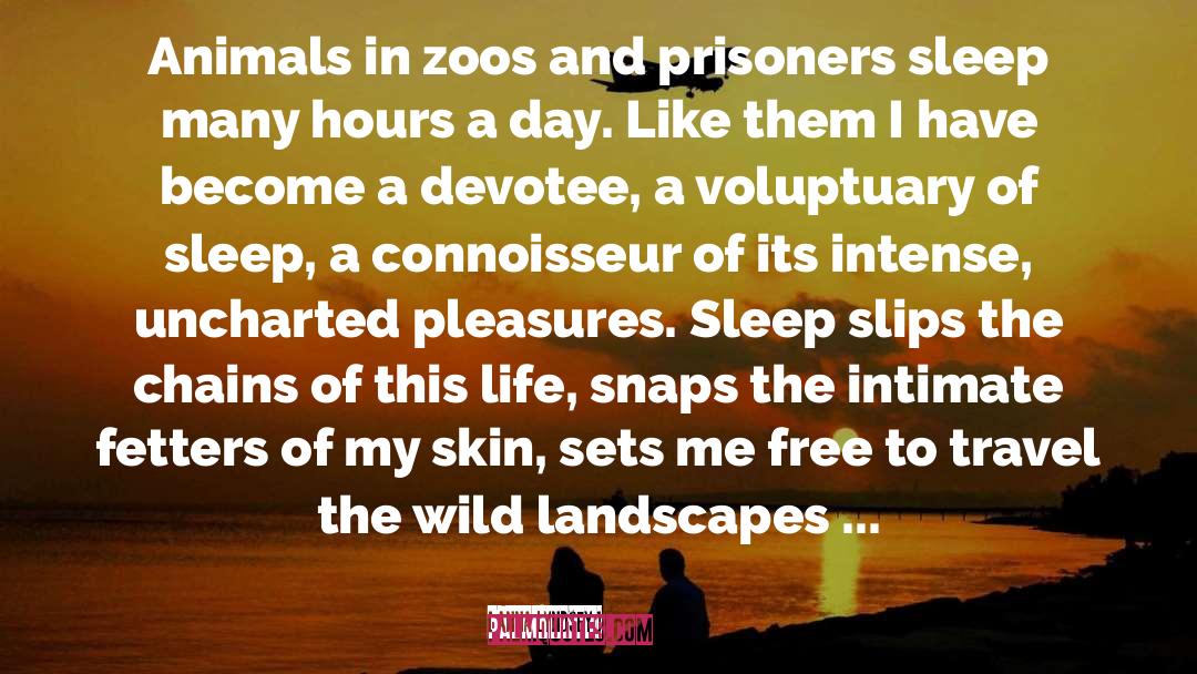 Anna Lyndsey Quotes: Animals in zoos and prisoners