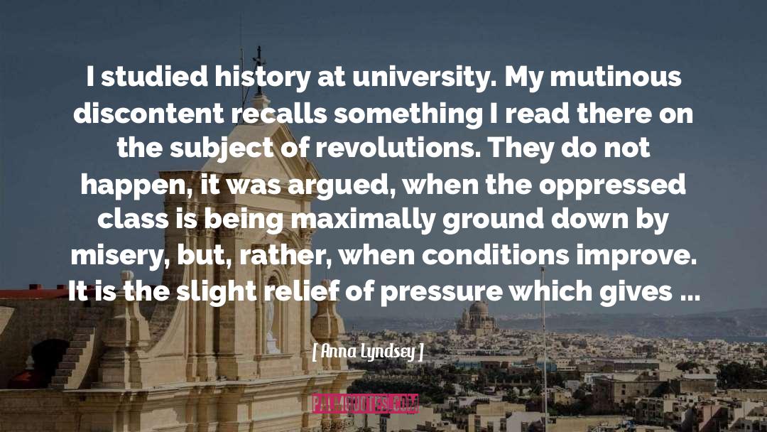 Anna Lyndsey Quotes: I studied history at university.