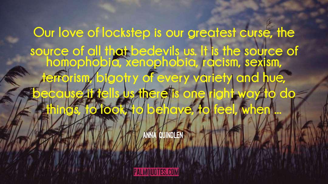Anna Quindlen Quotes: Our love of lockstep is