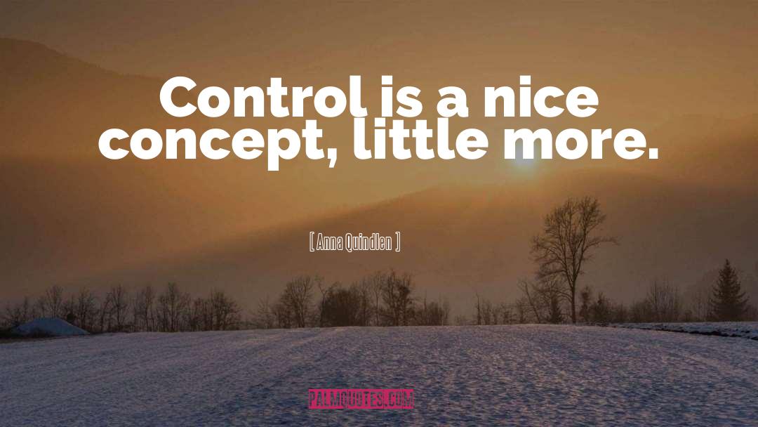 Anna Quindlen Quotes: Control is a nice concept,