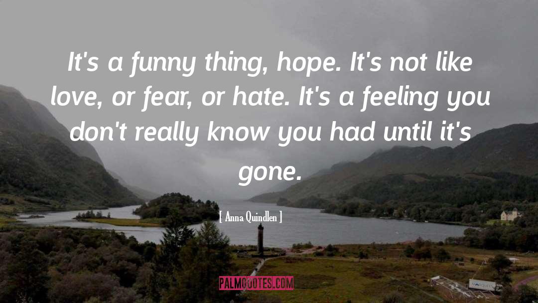 Anna Quindlen Quotes: It's a funny thing, hope.