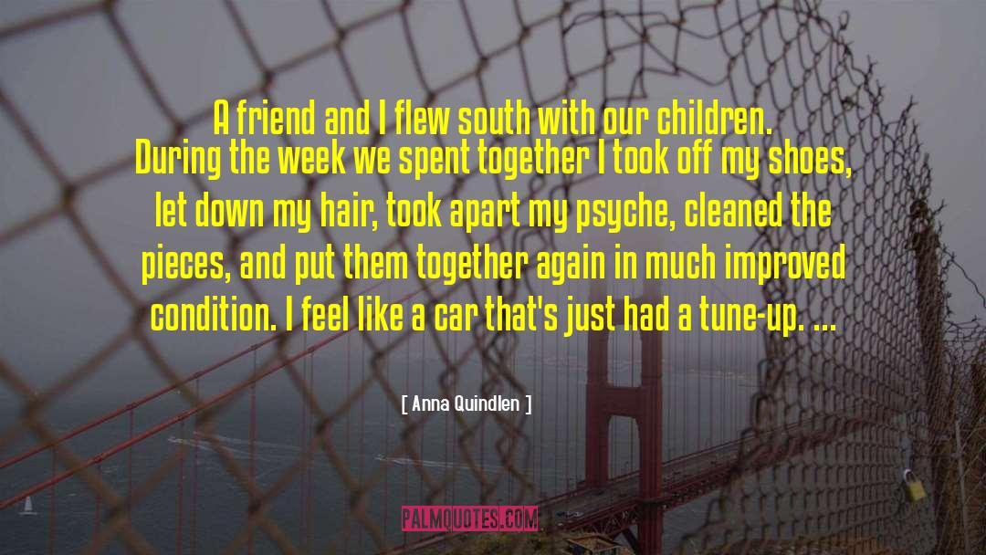 Anna Quindlen Quotes: A friend and I flew