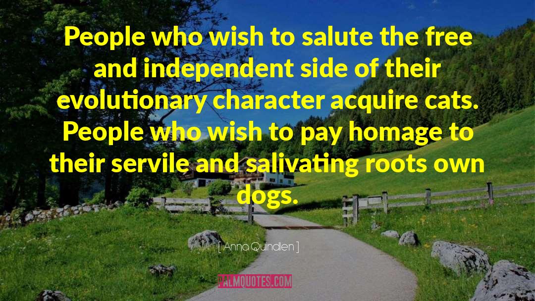 Anna Quindlen Quotes: People who wish to salute