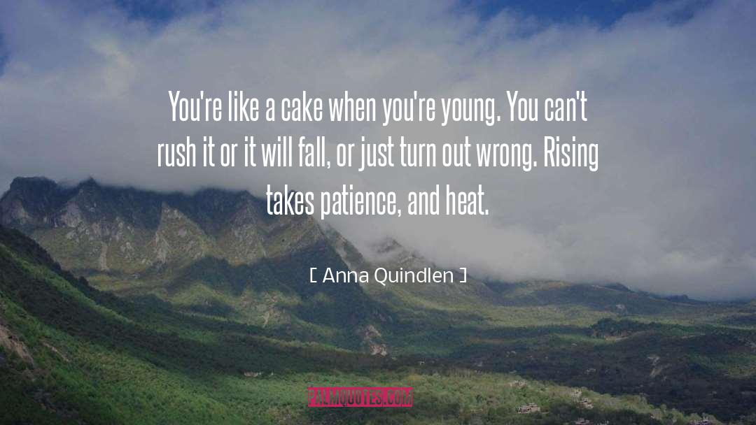 Anna Quindlen Quotes: You're like a cake when