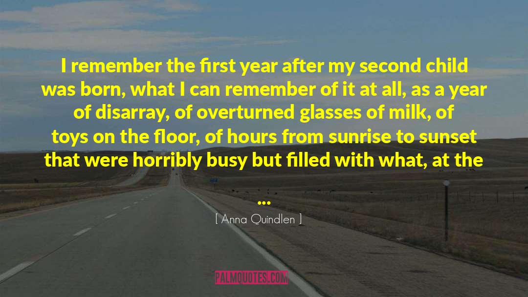 Anna Quindlen Quotes: I remember the first year