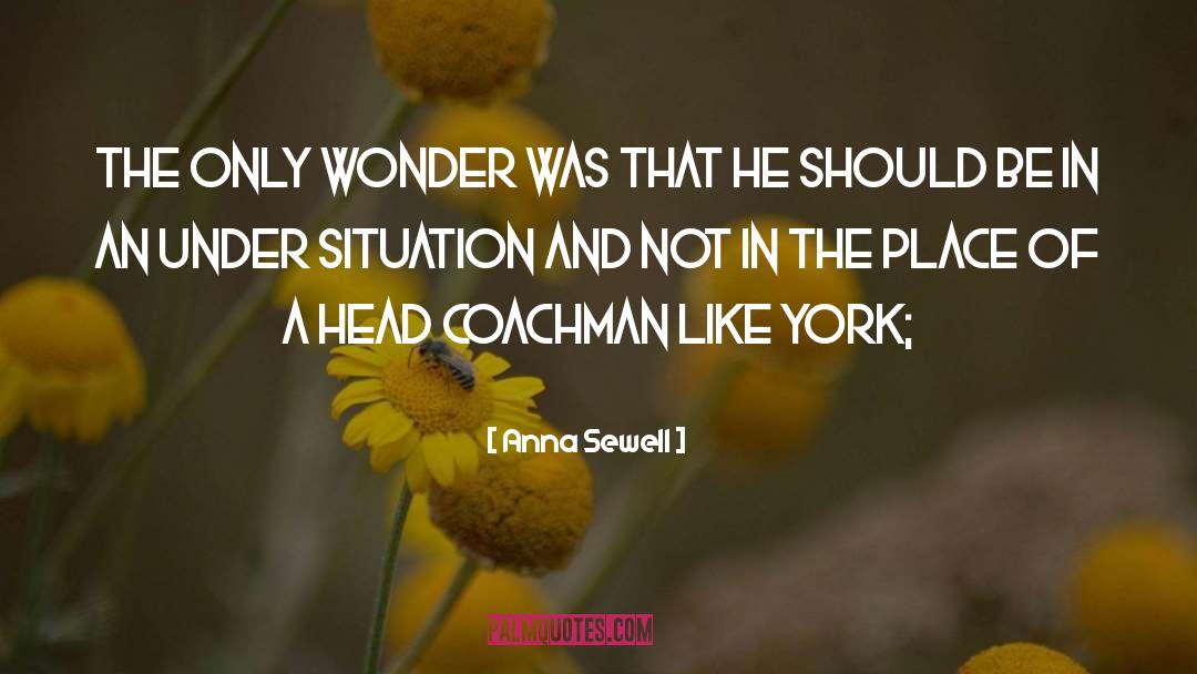 Anna Sewell Quotes: The only wonder was that