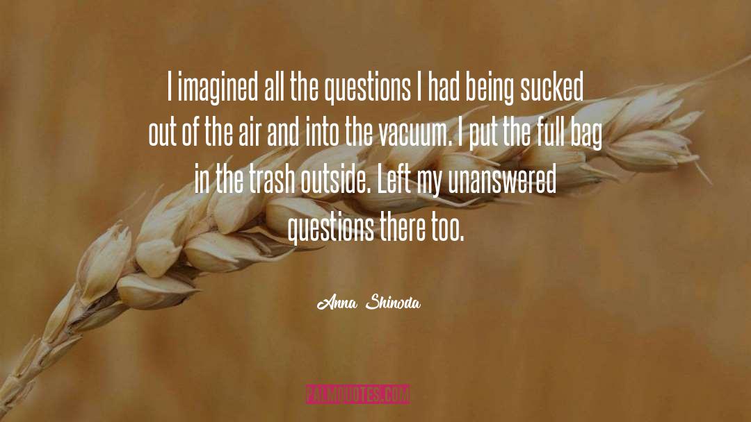 Anna Shinoda Quotes: I imagined all the questions