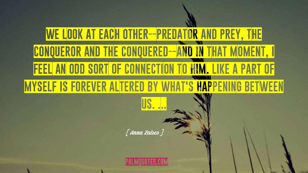 Anna Zaires Quotes: We look at each other--predator