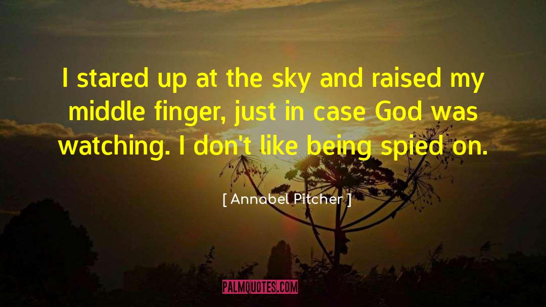 Annabel Pitcher Quotes: I stared up at the