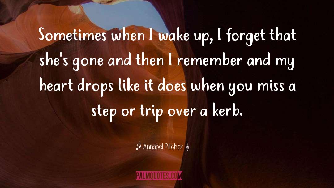 Annabel Pitcher Quotes: Sometimes when I wake up,