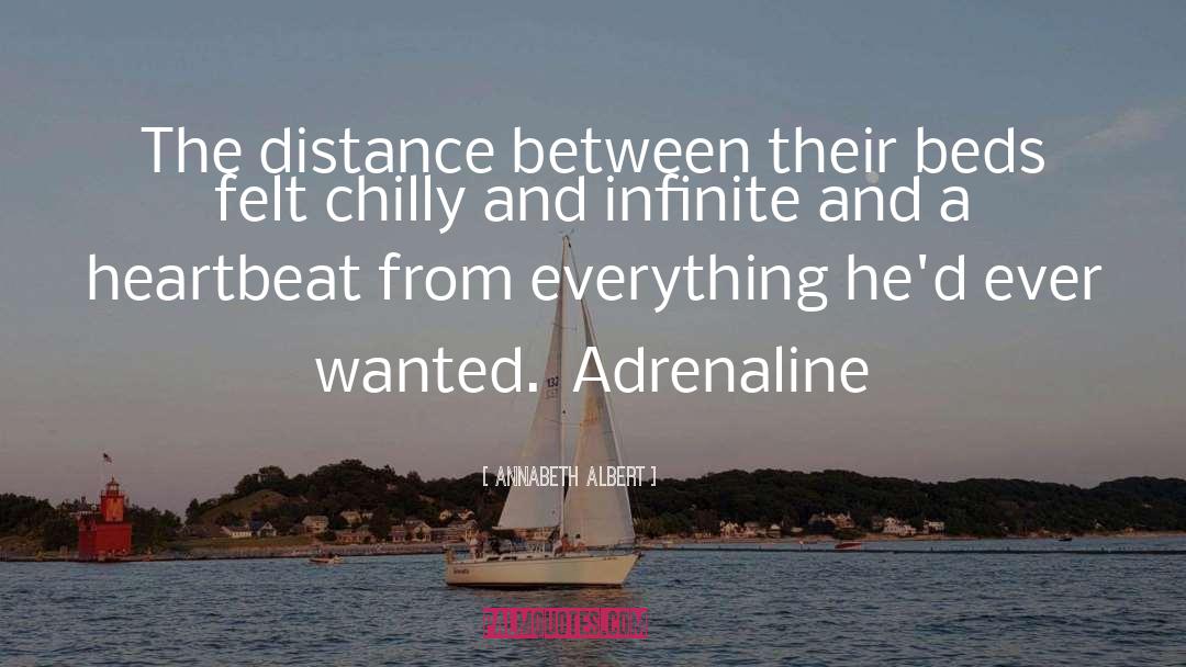 Annabeth Albert Quotes: The distance between their beds