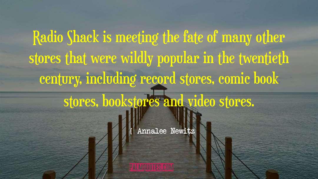 Annalee Newitz Quotes: Radio Shack is meeting the