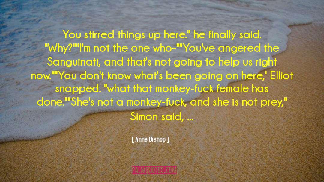 Anne Bishop Quotes: You stirred things up here.