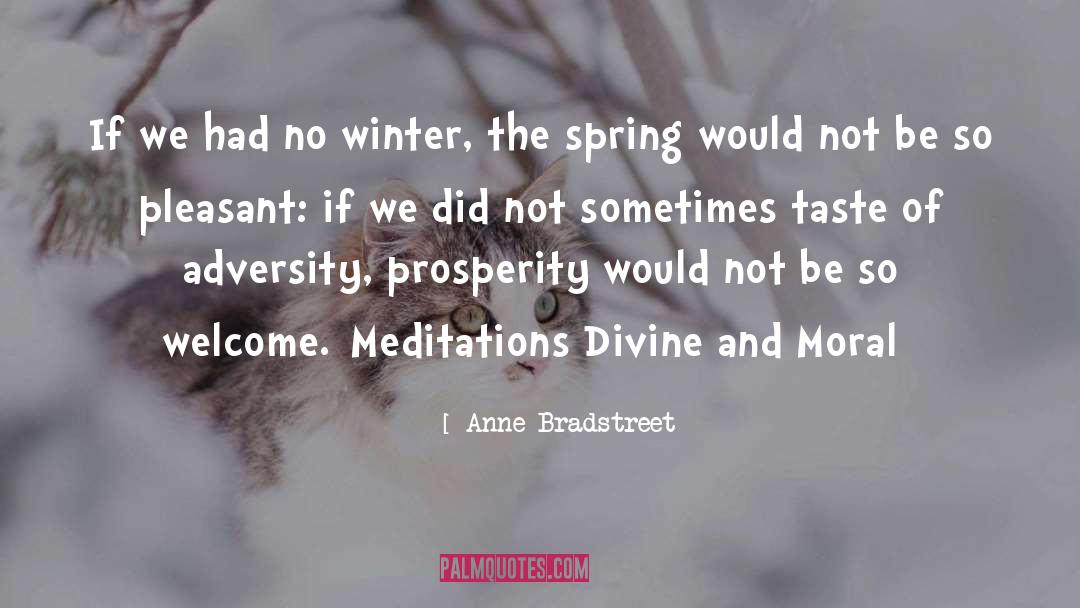 Anne Bradstreet Quotes: If we had no winter,