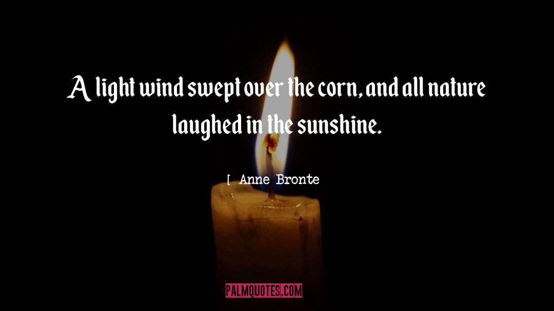 Anne Bronte Quotes: A light wind swept over